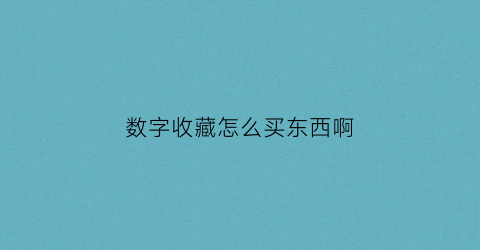 数字收藏怎么买东西啊