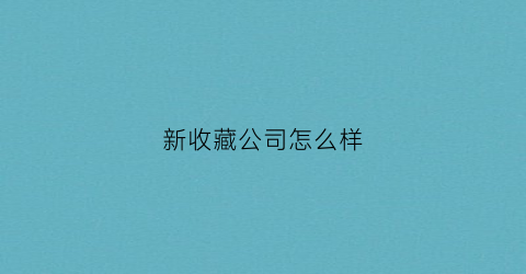 新收藏公司怎么样