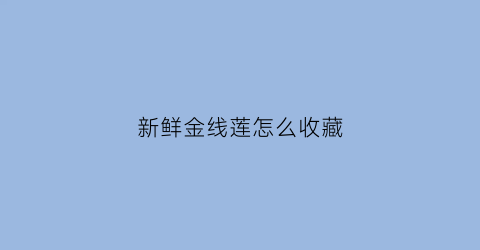 新鲜金线莲怎么收藏