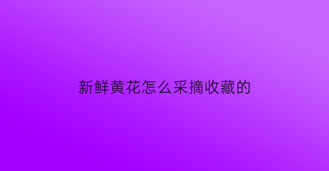 新鲜黄花怎么采摘收藏的