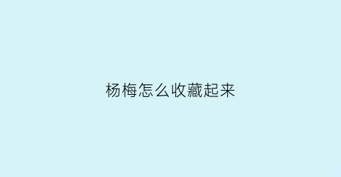 杨梅怎么收藏起来