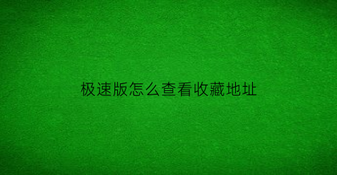 极速版怎么查看收藏地址