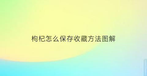 枸杞怎么保存收藏方法图解