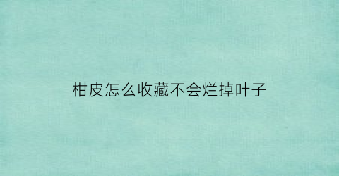 柑皮怎么收藏不会烂掉叶子