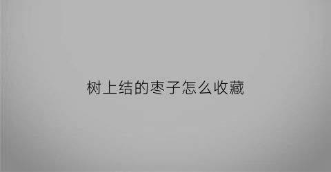 树上结的枣子怎么收藏