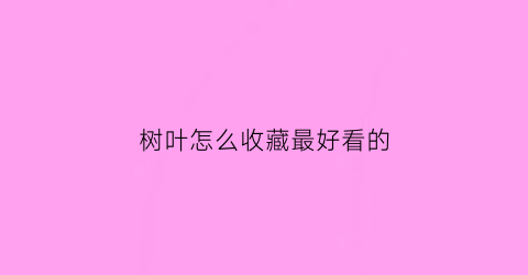 树叶怎么收藏最好看的