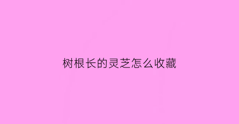 树根长的灵芝怎么收藏