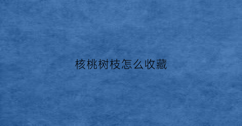 核桃树枝怎么收藏