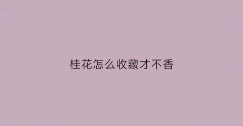 桂花怎么收藏才不香