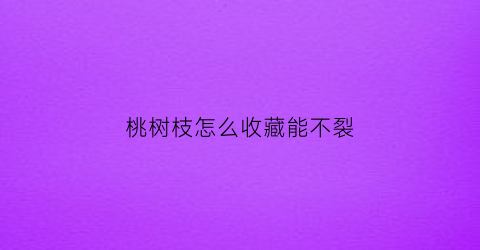 桃树枝怎么收藏能不裂