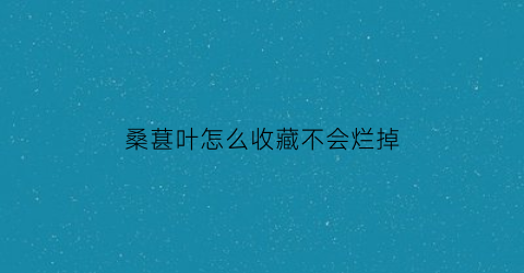 桑葚叶怎么收藏不会烂掉