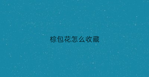 棕包花怎么收藏