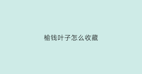 榆钱叶子怎么收藏