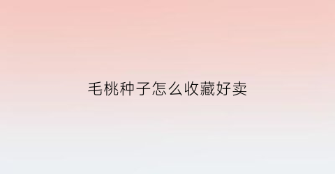 毛桃种子怎么收藏好卖