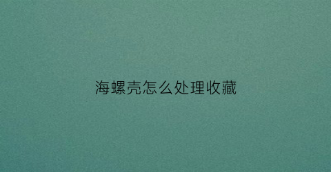 海螺壳怎么处理收藏