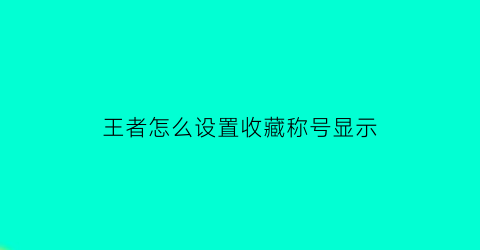 王者怎么设置收藏称号显示