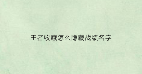 王者收藏怎么隐藏战绩名字