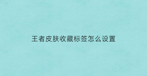 王者皮肤收藏标签怎么设置