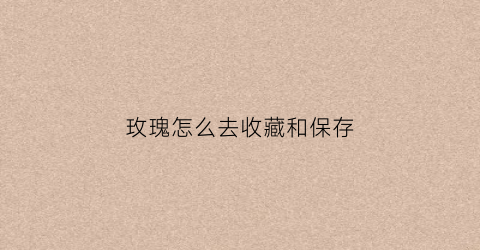 玫瑰怎么去收藏和保存