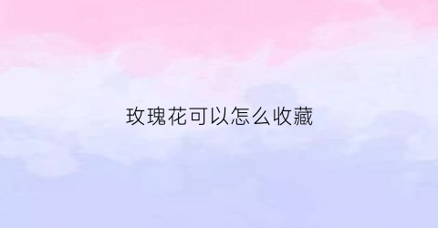 玫瑰花可以怎么收藏