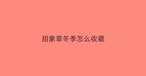 甜象草冬季怎么收藏