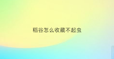 稻谷怎么收藏不起虫