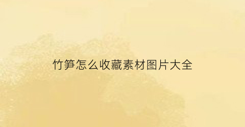 竹笋怎么收藏素材图片大全