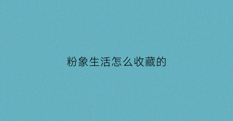 粉象生活怎么收藏的