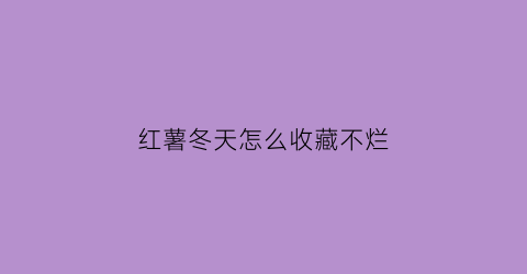 红薯冬天怎么收藏不烂