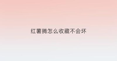 红薯腾怎么收藏不会坏