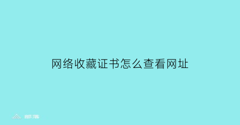 网络收藏证书怎么查看网址