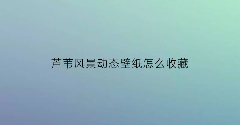 芦苇风景动态壁纸怎么收藏