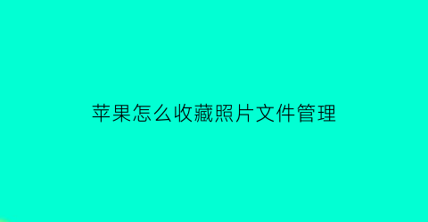 苹果怎么收藏照片文件管理