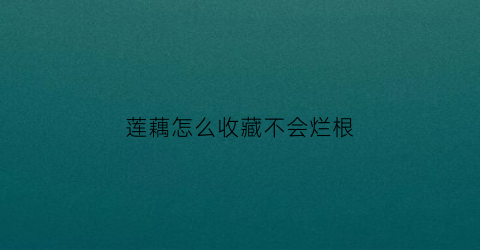 莲藕怎么收藏不会烂根