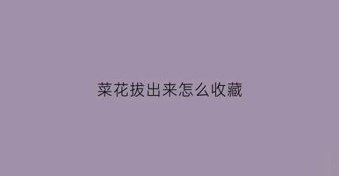 菜花拔出来怎么收藏