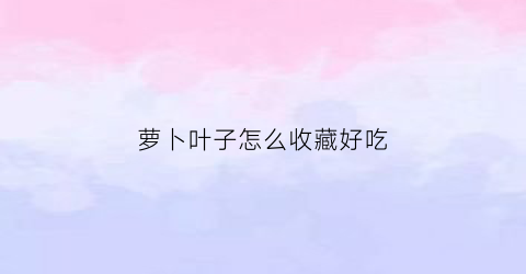 萝卜叶子怎么收藏好吃