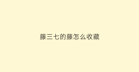 藤三七的藤怎么收藏