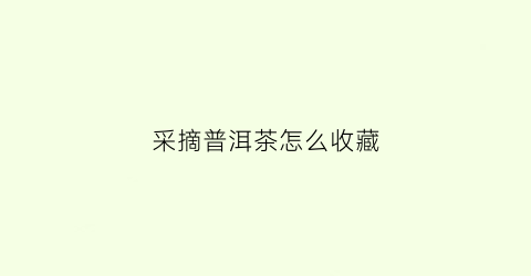 采摘普洱茶怎么收藏