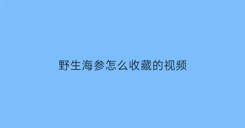 野生海参怎么收藏的视频