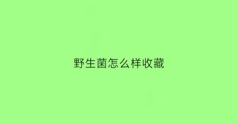 野生菌怎么样收藏