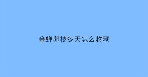 金蝉卵枝冬天怎么收藏