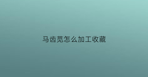 马齿苋怎么加工收藏