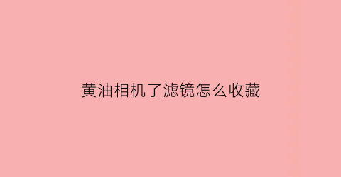 黄油相机了滤镜怎么收藏