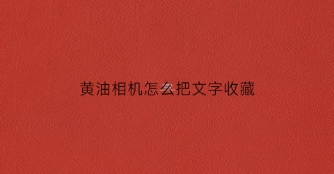 黄油相机怎么把文字收藏