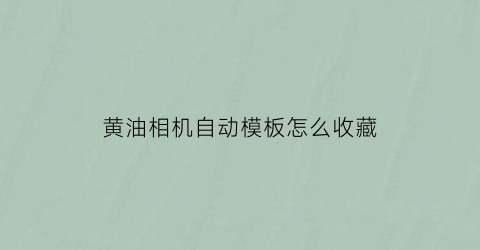 黄油相机自动模板怎么收藏