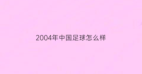 2004年中国足球怎么样(2004年国足算错净胜球)