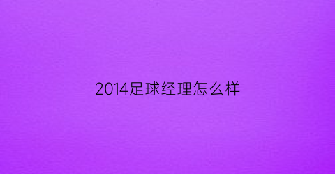 2014足球经理怎么样(足球经理2004)