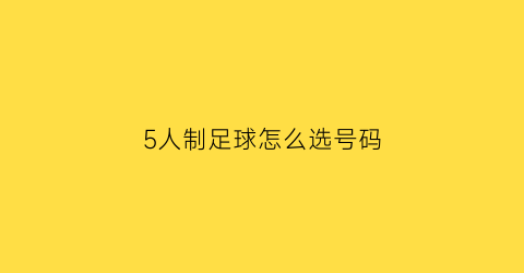 5人制足球怎么选号码(5人制足球几号球)