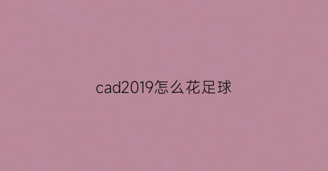 cad2019怎么花足球(cad足球平面画教学)