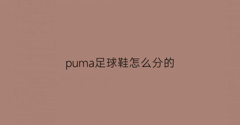 puma足球鞋怎么分的(puma的足球怎么样)